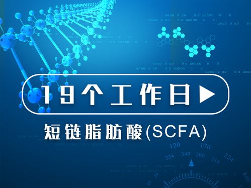 質譜服務的價格、采購與供應商信息詳解